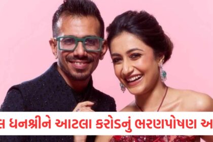 ચહલ ધનશ્રીને આટલા કરોડનું ભરણપોષણ આપશેwer