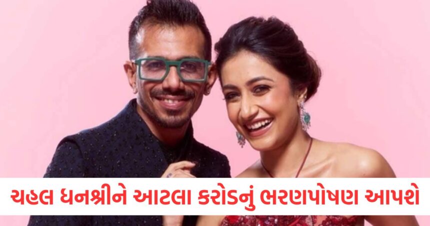 ચહલ ધનશ્રીને આટલા કરોડનું ભરણપોષણ આપશેwer