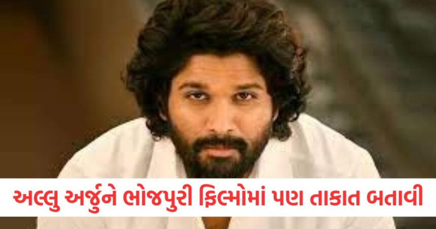 Allu Arjun showed his strength in Bhojpuri films too Shekhar Ravjiani praised Pushparaj