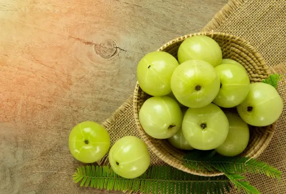 Amla juice instantly cools the stomach in the scorching heat it will also help in eliminating obesity know how to make it A
