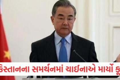 China jumps in support of Pakistan says Pahalgam terror attack should be investigated impartially