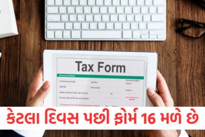 GUJJU MEDIA FEATURE PHOTO 1 1