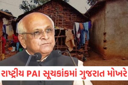 Gujarat declared top state in the country in the National PAI Index