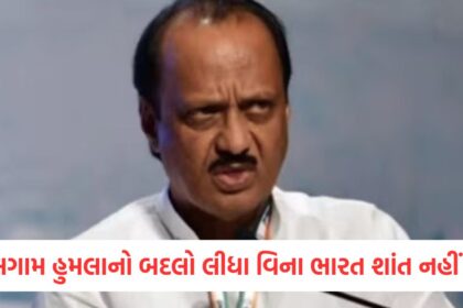 India will not sit still without taking revenge for the Pahalgam terror attack said Ajit Pawar in Pune