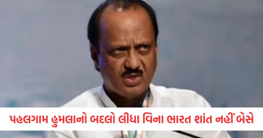 'પહલગામ આતંકવાદી હુમલાનો બદલો લીધા વિના ભારત શાંત નહીં બેસે', પુણેમાં અજિત પવારે કહ્યું 1 India will not sit still without taking revenge for the Pahalgam terror attack said Ajit Pawar in Pune