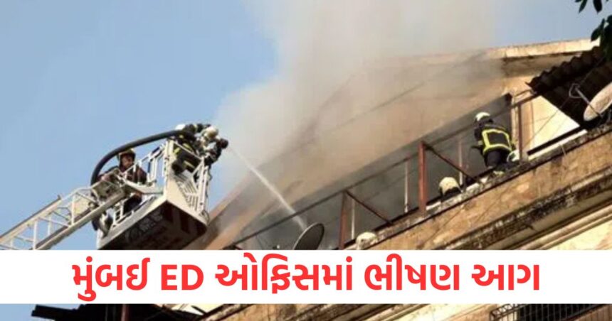 મુંબઈ ED ઓફિસમાં ભીષણ આગ, 12 ફાયર બ્રિગેડની ગાડીઓ ઘટનાસ્થળે, આગ ઓલવવાના પ્રયાસો ચાલુ 1 Massive fire breaks out at Mumbai ED office 12 fire brigade vehicles at the spot efforts to extinguish the fire underway B