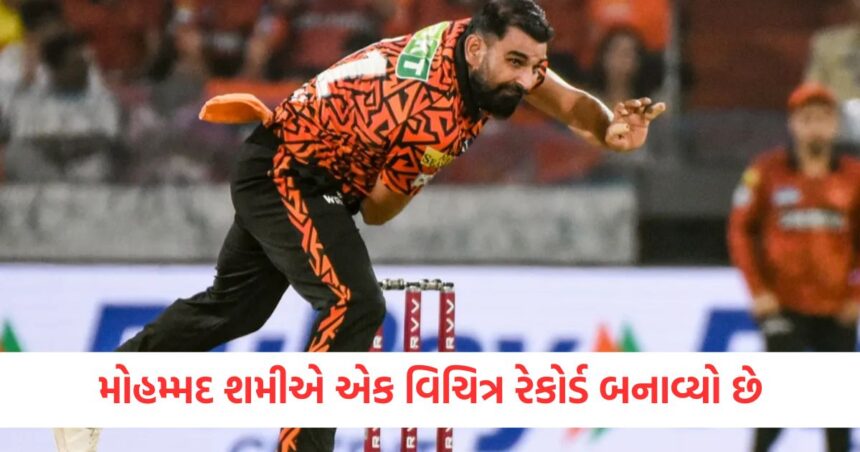 Mohammed Shami has set a strange record breaking it is a distant thing even equalling it will be impossible