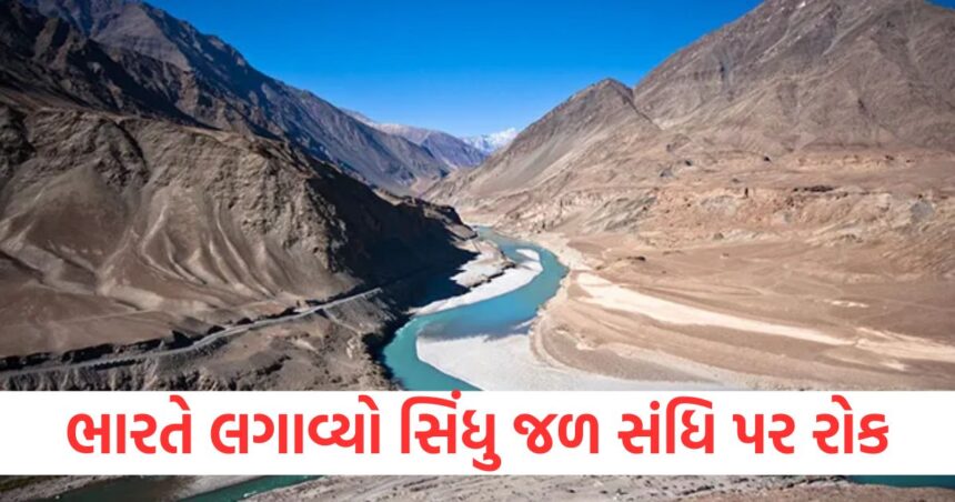 સિંધુ જળ સંધિ રોકવા પર પાકિસ્તાનનું નિવેદન આવ્યું, જાણો ભારતના પગલા પર શું કહ્યું 1 Pakistans statement on stopping the Indus Water Treaty came know what it said on Indias move