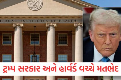 We will not give up our freedom Harvard University files a case against the Trump government what will the President do now