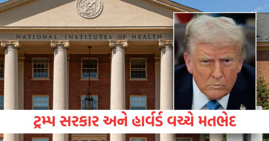 'અમે અમારી સ્વતંત્રતા નહીં છોડીએ', હાર્વર્ડ યુનિવર્સિટીએ ટ્રમ્પ સરકાર સામે કેસ દાખલ કર્યો, હવે રાષ્ટ્રપતિ શું કરશે? 1 We will not give up our freedom Harvard University files a case against the Trump government what will the President do now