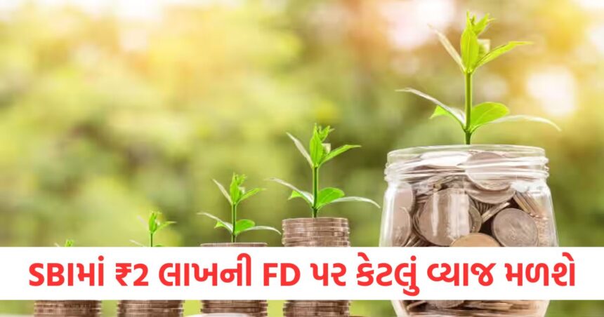 જો તમે પત્નીના નામે SBIમાં ₹2,00,000 ની FD કરો છો, તો 2 વર્ષ પછી તમને કેટલા પૈસા મળશે, જાણી લો ગણતરી 1 if you deposit rs 2 00 000 in sbi fd in the name of wife how much money will you get after 2 years