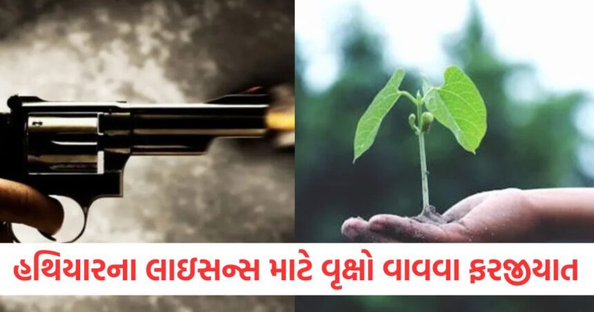 હથિયારનું લાઇસન્સ મેળવવું હોય તો વૃક્ષો વાવવા પડશે, દેશના આ જિલ્લામાં આવ્યો આ નિયમ 1 up planting trees mandatory for getting arms license in mathura