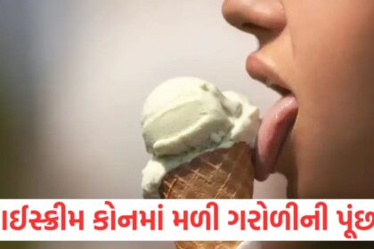A lizards tail was found in an ice cream cone bought for children a womans health deteriorated in Gujarat know the entire incident