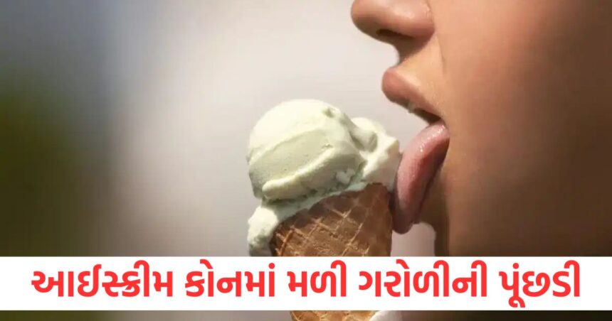 A lizards tail was found in an ice cream cone bought for children a womans health deteriorated in Gujarat know the entire incident