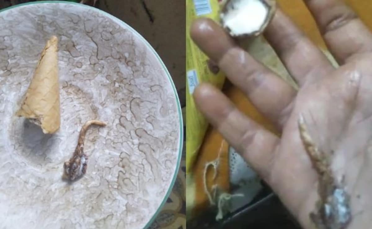 A lizards tail was found in an ice cream cone bought for children a womans health deteriorated in Gujarat know the entire incident A