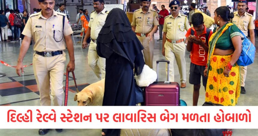 નવી દિલ્હી રેલ્વે સ્ટેશન પર એક લાવારિસ બેગ મળી આવતા હોબાળો મચી ગયો, ડોગ સ્ક્વોડની ટીમ હાજર 1 An unclaimed bag was found at the New D