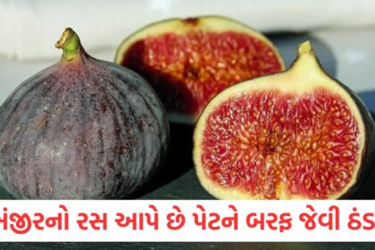 Fig juice gives ice coldness to the stomach