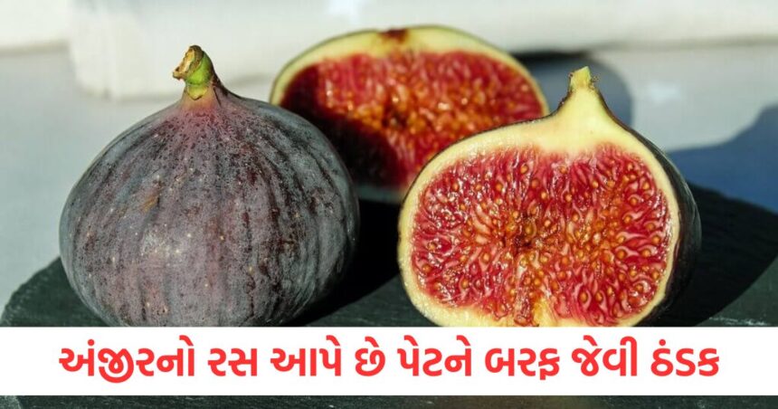 અંજીરનો રસ આપે છે પેટને બરફ જેવી ઠંડક, શરીરને ત્વરિત ઊર્જા મળશે, હાડકાં મજબૂત બનશે 1 Fig juice gives ice coldness to the stomach