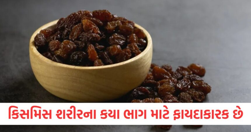 કિસમિસ શરીરના કયા ભાગ માટે ફાયદાકારક છે, આ ડ્રાયફ્રૂટ ખાવાની સાચી રીત કઈ છે? 1 For which part of the body are raisins beneficial what is the correct way to eat this dry fruit