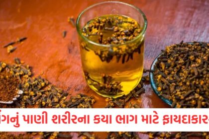 For which part of the body is clove water beneficial know the right time and way to drink it