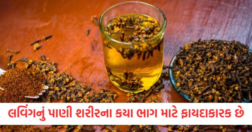 For which part of the body is clove water beneficial know the right time and way to drink it