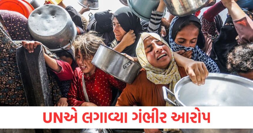 Israel wants to starve the people of Gaza UN makes serious allegations this is the response