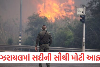 The biggest disaster of the century in Israel