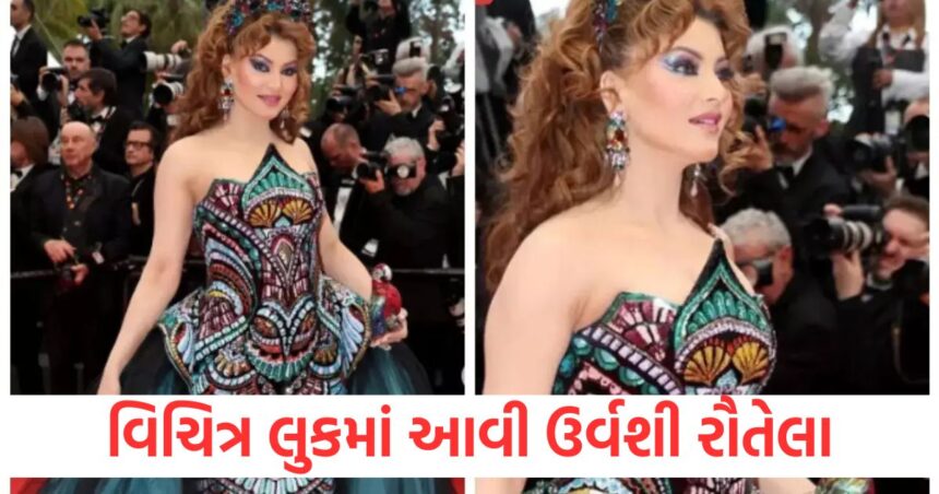 adorned with a crown on her head a colorful parrot worth 4 lakhs attracted attention