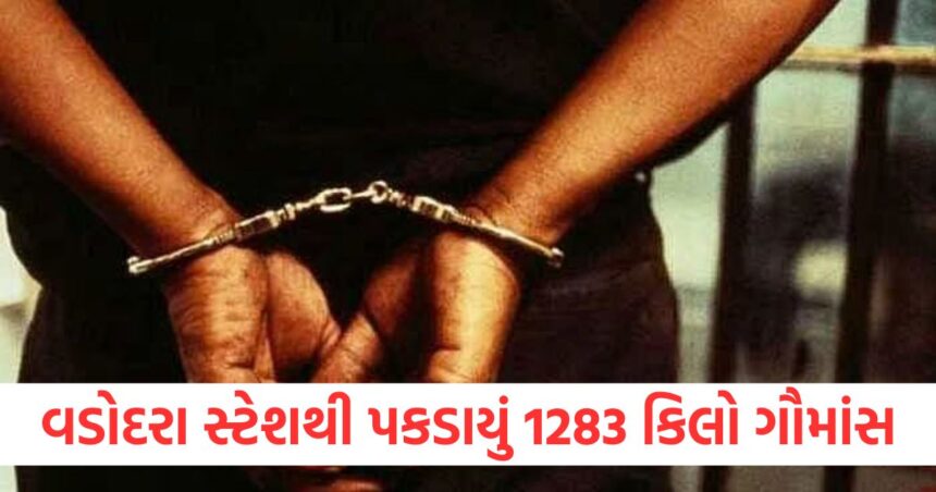 અમૃતસરથી ટ્રેન દ્વારા ૧૨૮૩ કિલો ગૌમાંસ મોકલવામાં આવી રહ્યું હતું, પોલીસે વડોદરા સ્ટેશન પર તેને જપ્ત કર્યું 1 surat beef weighing over 1200 kg seized from mumbai bound train in vadodara