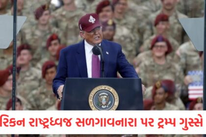 donald trump got angry at those who burnt the american flag compared them to animals ice immigration and customs enforcement
