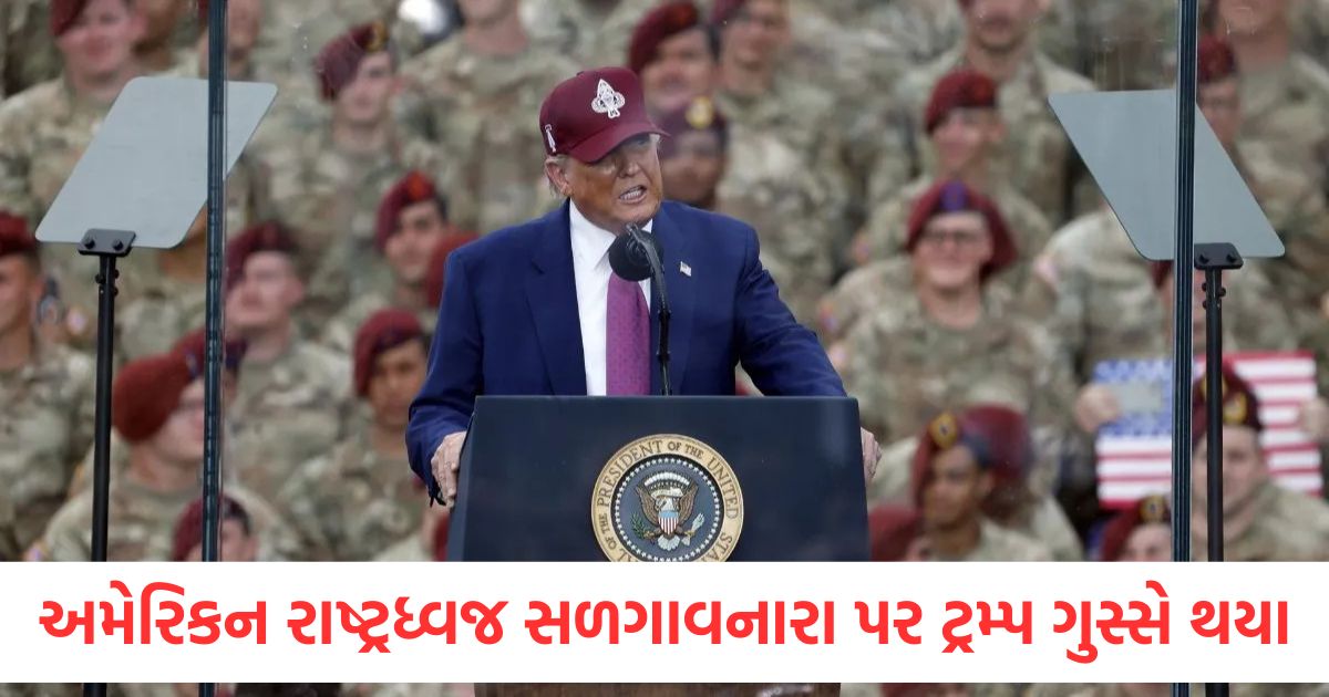 donald trump got angry at those who burnt the american flag compared them to animals ice immigration and customs enforcement