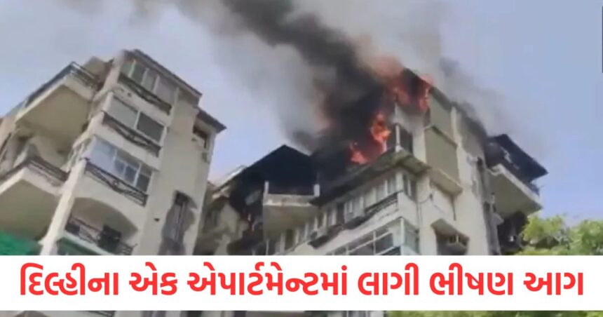 fire in delhi dwarka sector 13 sabad apartment black smoke covered the sky