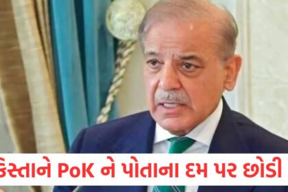 shahbaz sharif government cuts pok budget by 16 percent