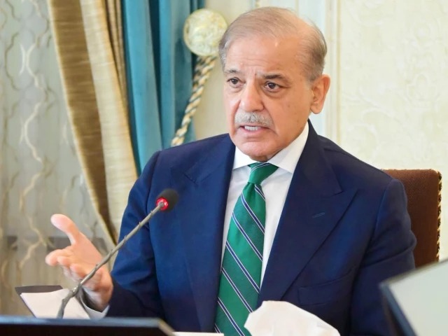 shahbaz sharif government cuts pok budget by 16 percent1