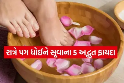 Copy of Satya web temp 33.jpg.webp