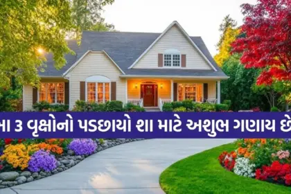 Copy of Satya web temp 36.jpg.webp