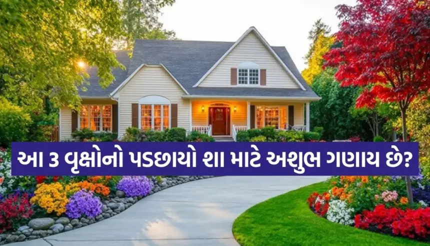 Copy of Satya web temp 36.jpg.webp