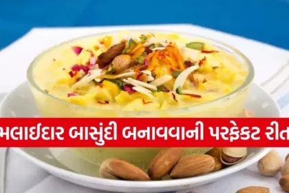 Copy of Satya web temp 80.jpg.webp