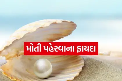 Copy of Satya web temp.jpg.webp