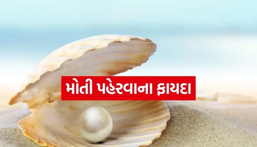 Copy of Satya web temp.jpg.webp