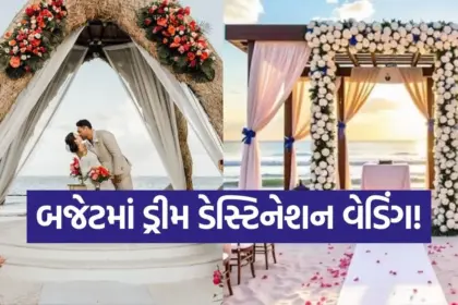 india 2025 11 29T093051.566.jpg.webp