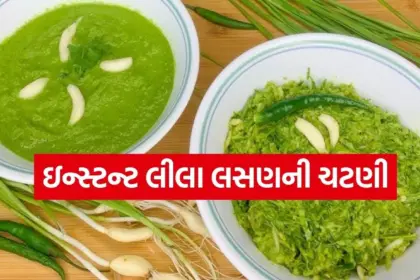 1764737599 Copy of Satya web temp 11.jpg.webp