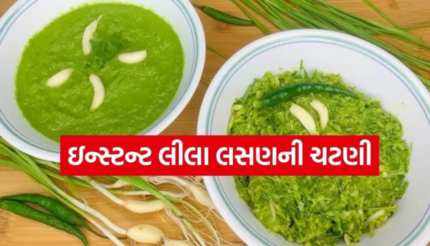 5 મિનિટમાં તૈયાર કરો લીલા લસણથી ચટણી, ઇમ્યુનિટી વધારશે અને સ્વાદ બમણો કરશે 1 1764737599 Copy of Satya web temp 11.jpg.webp