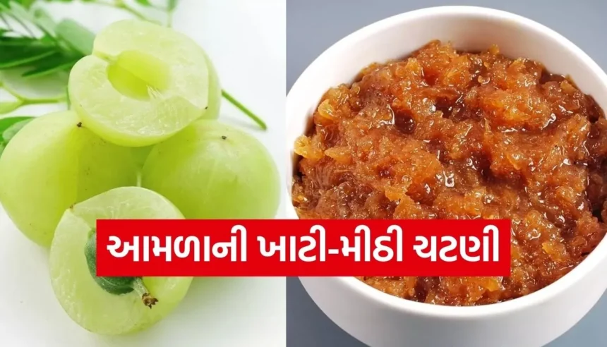 શું તમે શિયાળામાં વારંવાર બીમાર પડો છો? આમળાની આ ખાટી-મીઠી ચટણી રોગપ્રતિકારક શક્તિ વધારશે! 1 1765600960 Copy of Satya web temp 41.jpg.webp