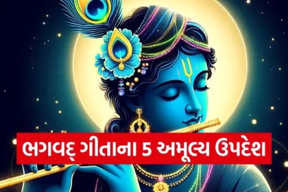 1765802563 Copy of Satya web temp 38.jpg.webp