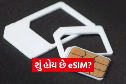 1765803619 Copy of Satya web temp 39 1.jpg.webp