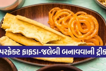 1765889558 Copy of Satya web temp 36 1.jpg.webp