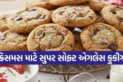 1766004995 Copy of Satya web temp 70.jpg.webp