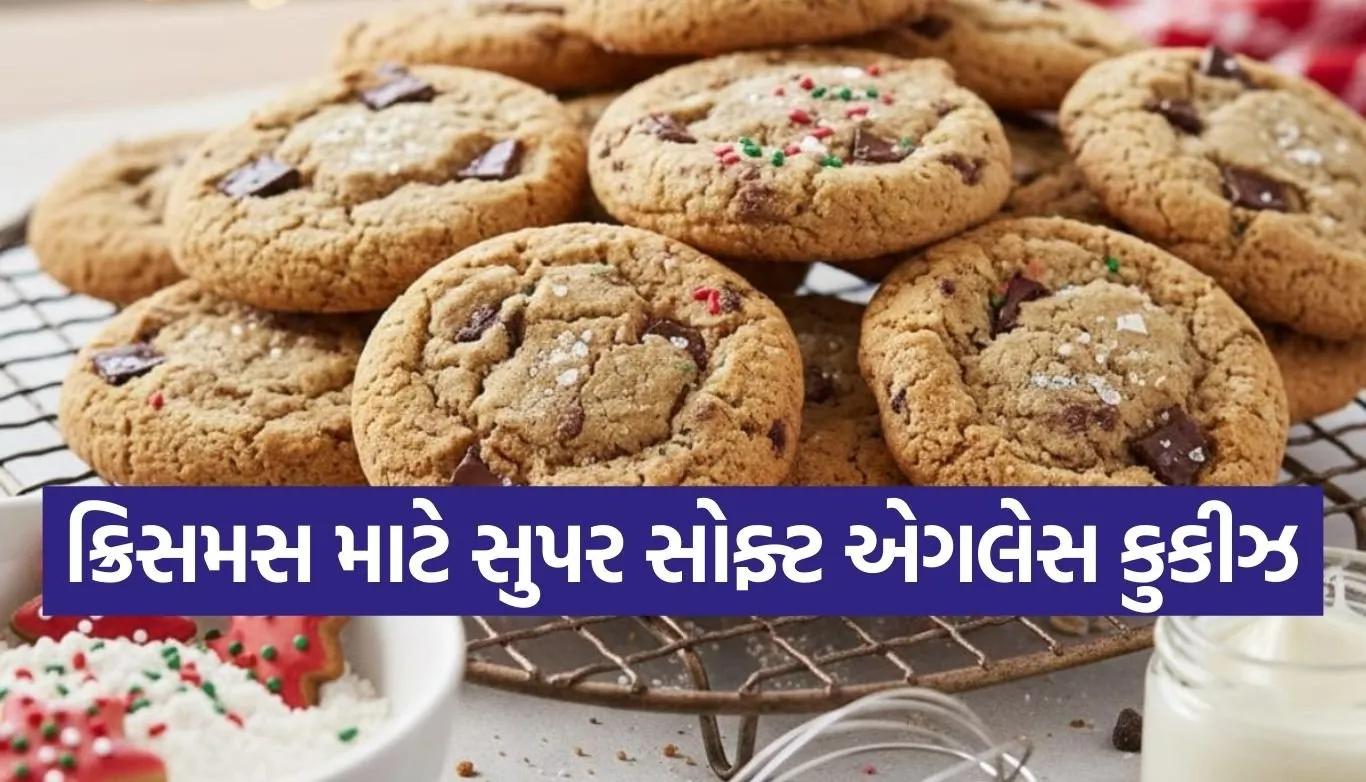 1766004995 Copy of Satya web temp 70.jpg.webp