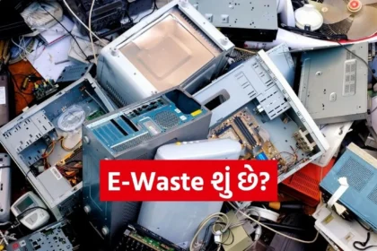 1766005775 Copy of Satya web temp 68.jpg.webp